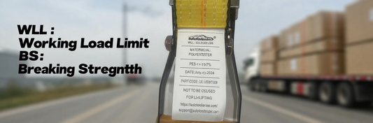 Decoding the Label: --Your Expert Guide to Reading Tie-Down Strap Ratings & Tags